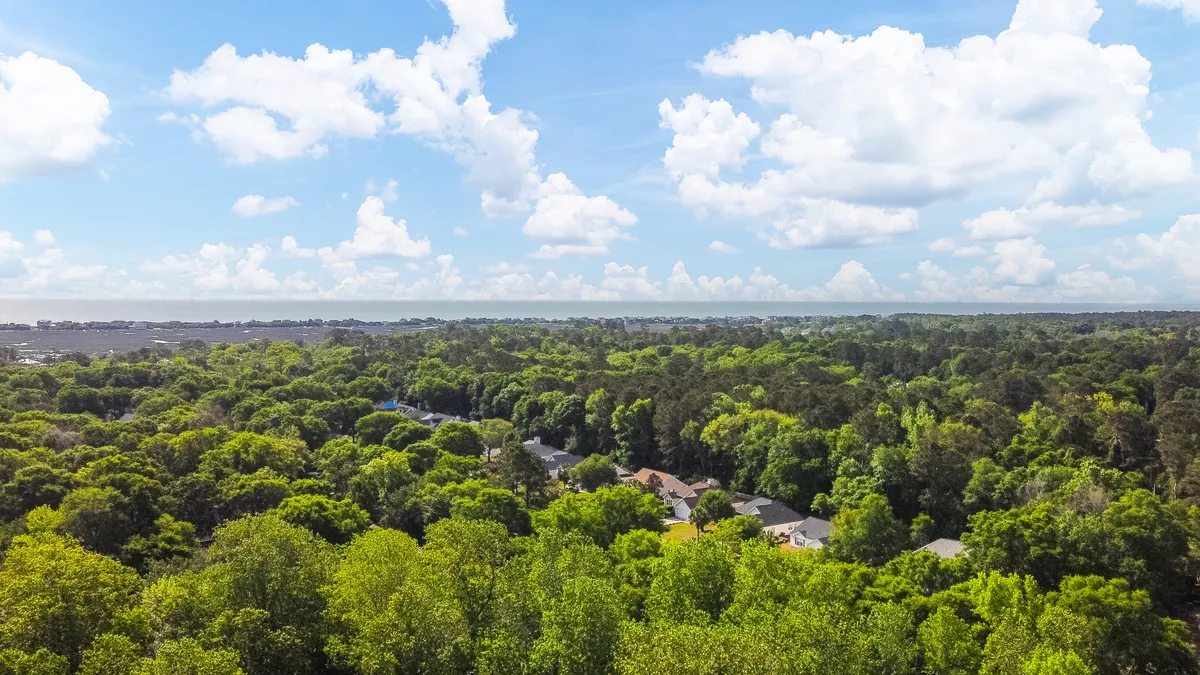 A sweeping view of expansive green trees with a distant water body and fluffy clouds overhead. The scenery evokes the picturesque landscapes surrounding top golf courses and the serenity awaiting after a day on the fairways.